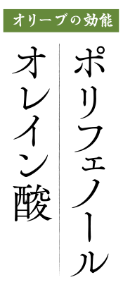 オリーブの効能　ポリフェノール オレイン酸