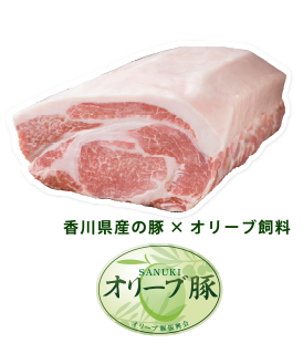 香川県産の豚×オリーブ飼料